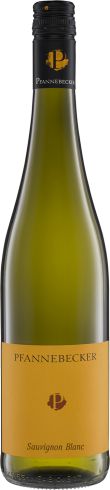 Sauvignon Blanc