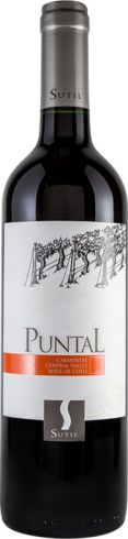 Puntal Carménère