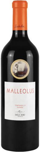 Malleolus